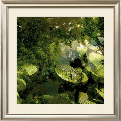 Vegetaux 14, 2008 by Nicolas Le Beuan Benic Pricing Limited Edition Print image