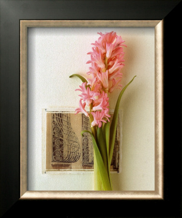 Hyacinth, Euro-Floral by Dorothy Gaubert Pyle Pricing Limited Edition Print image