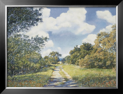 Path Through The Forest by Paul Fortis Pricing Limited Edition Print image
