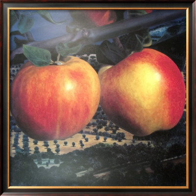 Apples by Karin Kneffel Pricing Limited Edition Print image