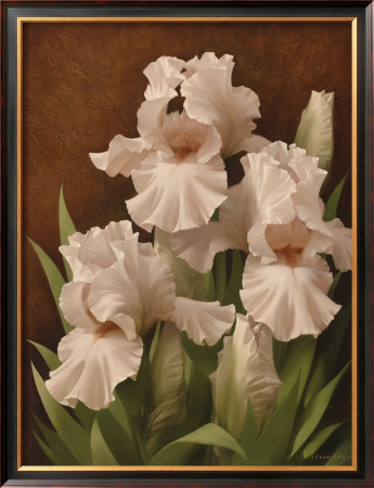 Iris Illumination Ii by Igor Levashov Pricing Limited Edition Print image