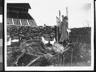 Mrs. Schaeffer Feeding Her Chickens by Wallace G. Levison Pricing Limited Edition Print image