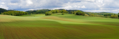 Green Fields And Trees In Halland, Sweden by Anders Ekholm Pricing Limited Edition Print image