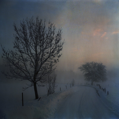 A Country Road In Winter, Sweden by Mikael Andersson Pricing Limited Edition Print image