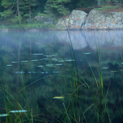 A Pond by Inge Ekstrom Pricing Limited Edition Print image