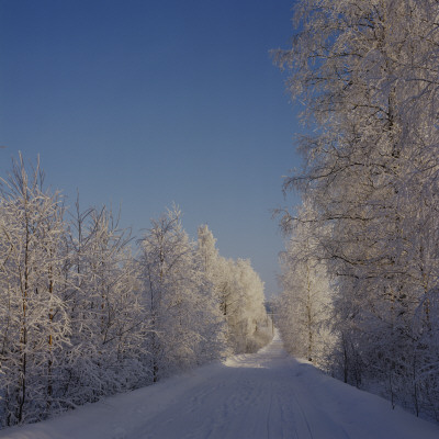 Winter Scenery, Sweden by Mikael Andersson Pricing Limited Edition Print image