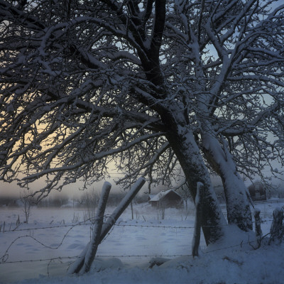 The Countryside In Winter, Sweden by Mikael Andersson Pricing Limited Edition Print image