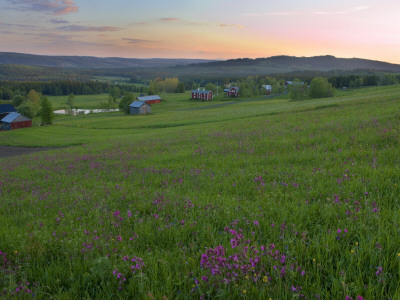 In The Countryside In Jamtland, Sweden by Anders Ekholm Pricing Limited Edition Print image