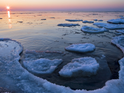 Ice And Sea At Sunrise, Sweden by Anders Ekholm Pricing Limited Edition Print image