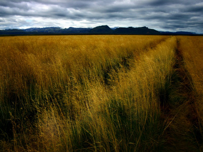 Clouds Over A Landscape by Bragi J. Ingibergsson Pricing Limited Edition Print image