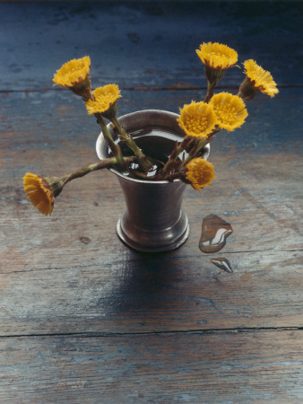 Flowers (Coltsfoot) In A Metal Vase by Hans Hammarskiold Pricing Limited Edition Print image