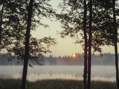 The Sun Shows Early In A Summer Morning, Finland by Kalervo Ojutkangas Pricing Limited Edition Print image
