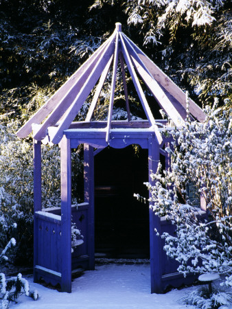 Purple Gazebo In The Nichols Garden At 69, Albert Road, Reading, Covered With Snow by Clive Nichols Pricing Limited Edition Print image
