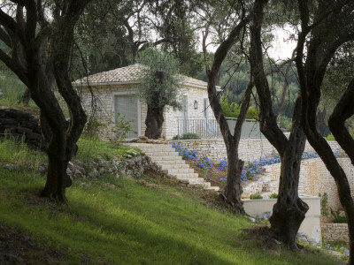 Villa Prosilio Viewed From Above Through The Olive Groves, Designer: Gina Price by Clive Nichols Pricing Limited Edition Print image