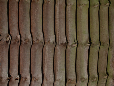 Backgrounds - Detail Of Larch Lap Fence by Natalie Tepper Pricing Limited Edition Print image
