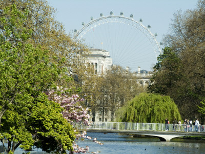 St James' Park Lake And The London Eye, London by Natalie Tepper Pricing Limited Edition Print image