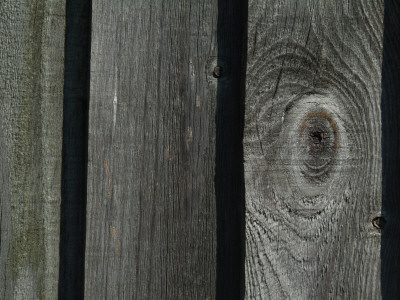 Backgrounds - Close-Up Detail Of Close-Boarded Fence Panel With Knot In Timber by Natalie Tepper Pricing Limited Edition Print image