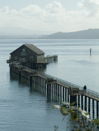 Pier, Tilamook Bay, Oregon by Natalie Tepper Pricing Limited Edition Print image