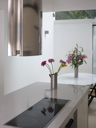 Glass Extension, Kitchen, Architect: Paul Archer Design by Will Pryce Pricing Limited Edition Print image