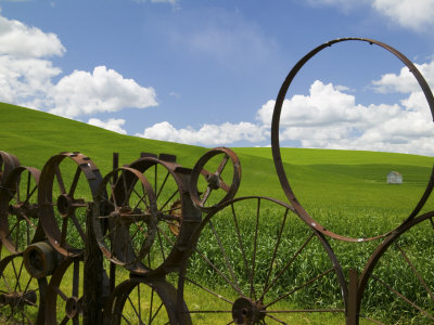 Old Barn Through Wheel Fence, Uniontown, Washington, Usa by Terry Eggers Pricing Limited Edition Print image