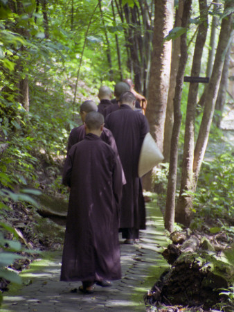 Single File Monks, Thailand by Eloise Patrick Pricing Limited Edition Print image