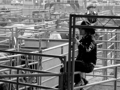 Jack, Santa Barbara Rodeo by Eloise Patrick Pricing Limited Edition Print image