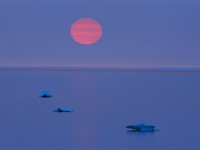 Sunset Over Calm Hudson Bay Waters Dotted With Small Ice Chunks by Norbert Rosing Pricing Limited Edition Print image