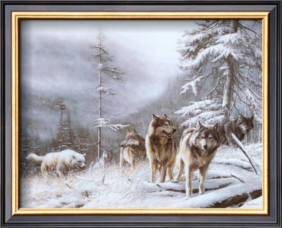 Search For Survival by Kevin Daniel Pricing Limited Edition Print image