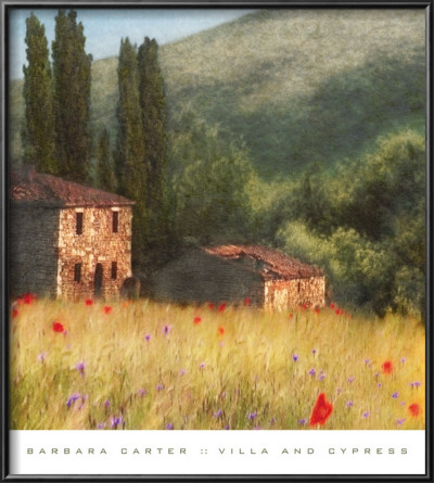 Villa And Cypress by Barbara Carter Pricing Limited Edition Print image