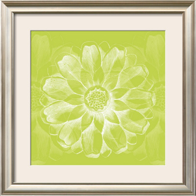 Chromatic Rosette Ii by Stefania Ferri Pricing Limited Edition Print image