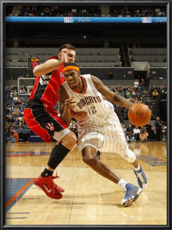 Toronto Raptors V Charlotte Bobcats: Tyrus Thomas by Kent Smith Pricing Limited Edition Print image