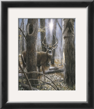 Woodland Sentry by Kevin Daniel Pricing Limited Edition Print image