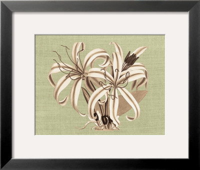 Regence Lily I by Sarah E. Chilton Pricing Limited Edition Print image