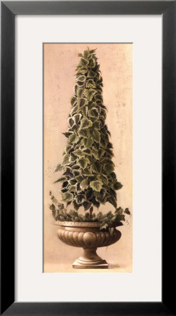 Cone Ivy, Green And White Topiary by Welby Pricing Limited Edition Print image