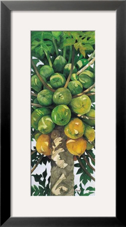 Papaya by Penny Gupton Pricing Limited Edition Print image