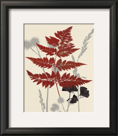 October Fern I by Bella Dos Santos Pricing Limited Edition Print image