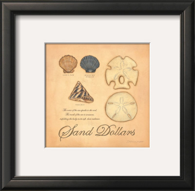 Sand Dollars by Stephanie Marrott Pricing Limited Edition Print image