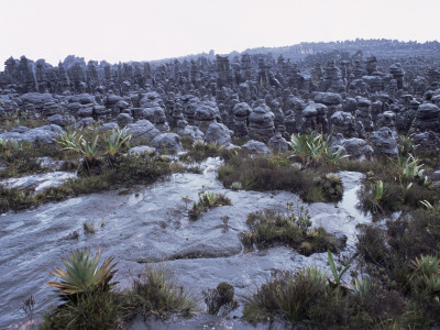 Kukenon, Flat Top Tepuis, Southern Venezuela, South America by Mark Brownlow Pricing Limited Edition Print image