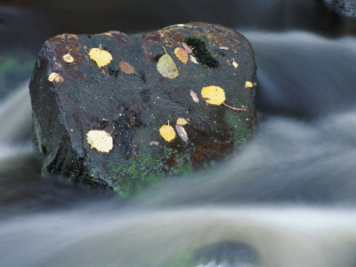 River Flowing Around Rock, Scotland, Uk by Pete Cairns Pricing Limited Edition Print image
