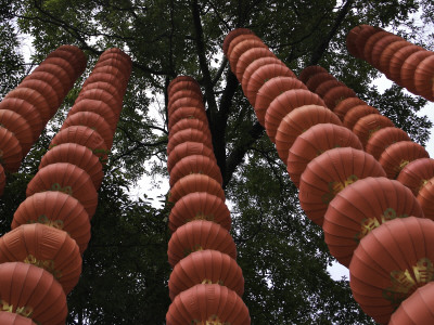 Red Chineese Lanterns Hanging From A Tree by Ryan Ross Pricing Limited Edition Print image