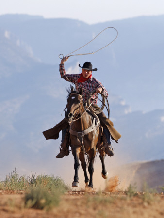 Cowboy Running With Rope Lassoo In Hand, Flitner Ranch, Shell, Wyoming, Usa by Carol Walker Pricing Limited Edition Print image