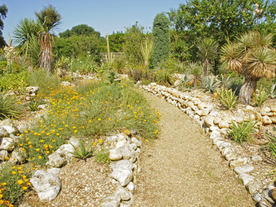 Large Dry Garden, East Ruston, Norfolk, Uk by Gary Smith Pricing Limited Edition Print image