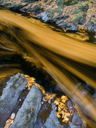 River North Esk Loaded With Beech Leaves, Angus, Scotland, Uk, October 2007 by Niall Benvie Pricing Limited Edition Print image