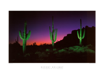Desert Delight by Rick Anderson Pricing Limited Edition Print image