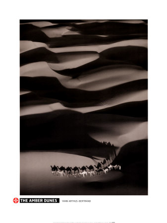 The Amber Dunes by Yann Arthus-Bertrand Pricing Limited Edition Print image