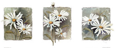 Daisies by Franz Heigl Pricing Limited Edition Print image