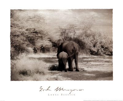 Lake Manyara I by Lorne Resnick Pricing Limited Edition Print image