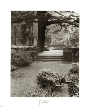 Hidcote, Gloucestershire by Edwin Smith Pricing Limited Edition Print image