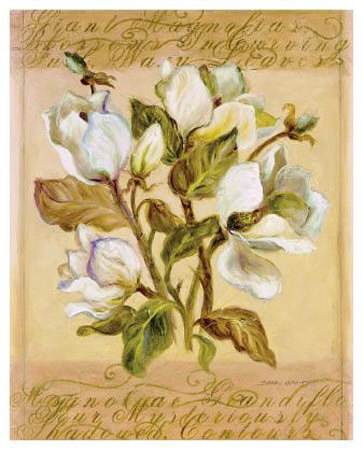 Magnolia Ll by Shari White Pricing Limited Edition Print image