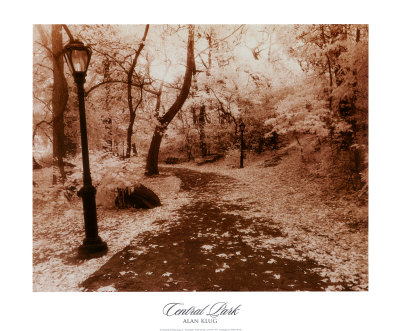 Central Park by Alan Klug Pricing Limited Edition Print image